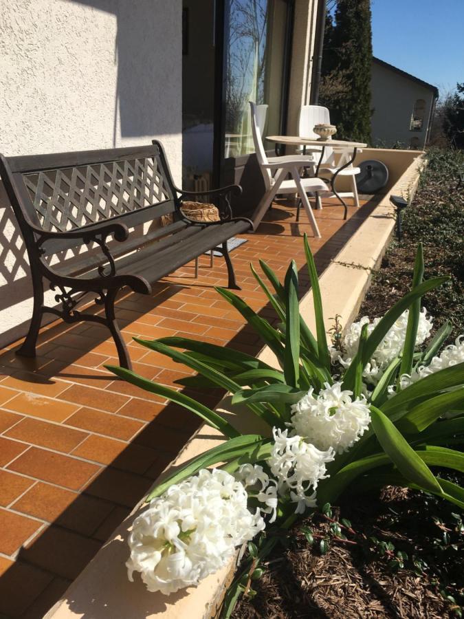 Exklusives In Für 2 Person Apartment Bad Säckingen